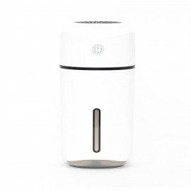 Portable Sanitizer Atomizer