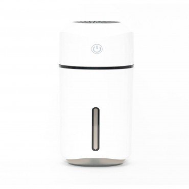 Portable Sanitizer Atomizer