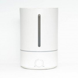 Household Sanitizer Atomizer