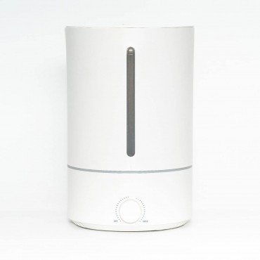 Household Sanitizer Atomizer