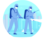 Professional Services