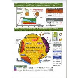 JointOK+ Premium - Collagen Peptides - 11.7g x 15 sachets ( Strong Bone, Tendons ligaments)